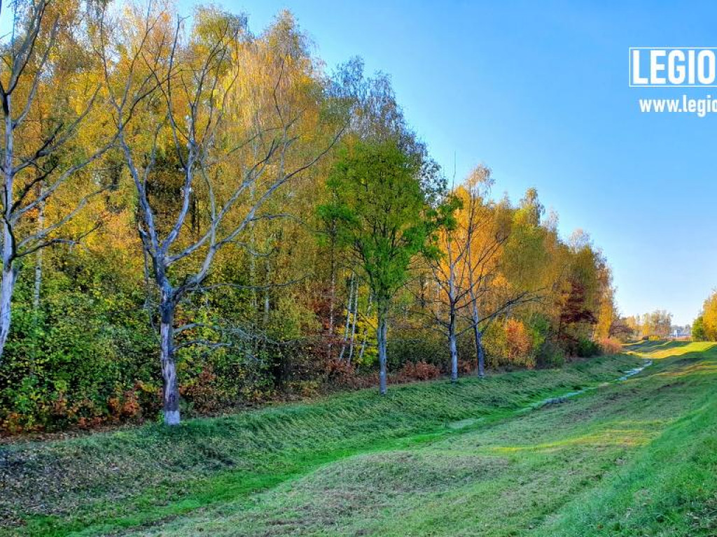 Legionowski: Korzystaj z pięknej pogody! Kolorowa jesień w gminie Wieliszew (galeria)
