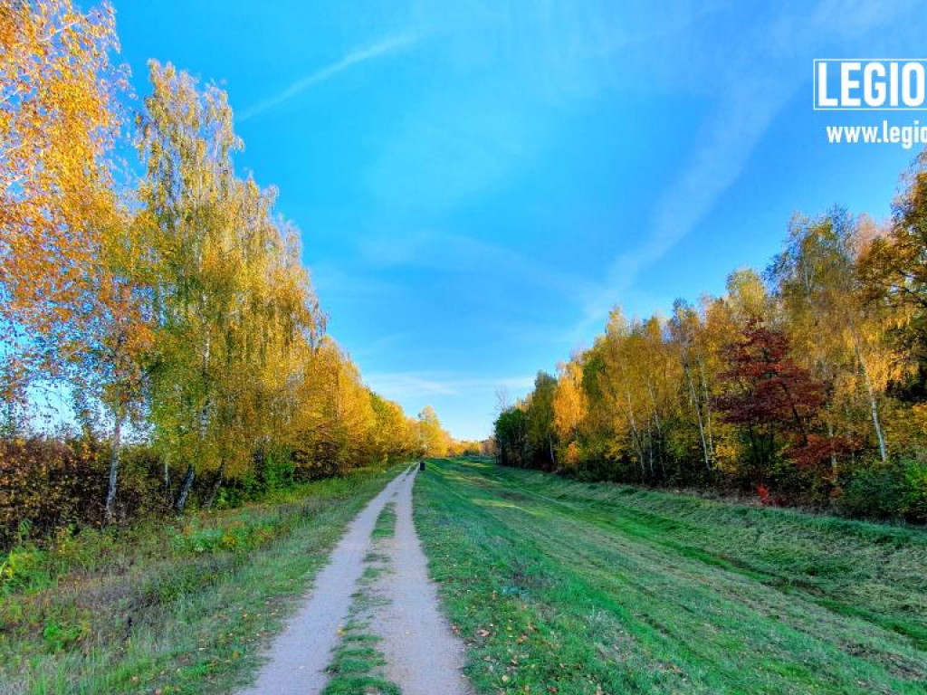Legionowski: Korzystaj z pięknej pogody! Kolorowa jesień w gminie Wieliszew (galeria)