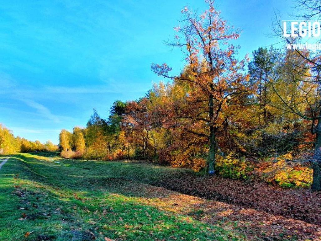Legionowski: Korzystaj z pięknej pogody! Kolorowa jesień w gminie Wieliszew (galeria)