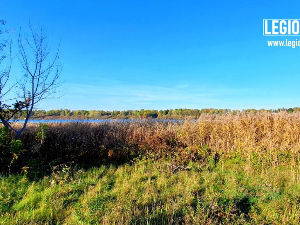 Legionowski: Korzystaj z pięknej pogody! Kolorowa jesień w gminie Wieliszew (galeria)