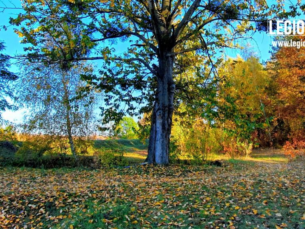 Legionowski: Korzystaj z pięknej pogody! Kolorowa jesień w gminie Wieliszew (galeria)