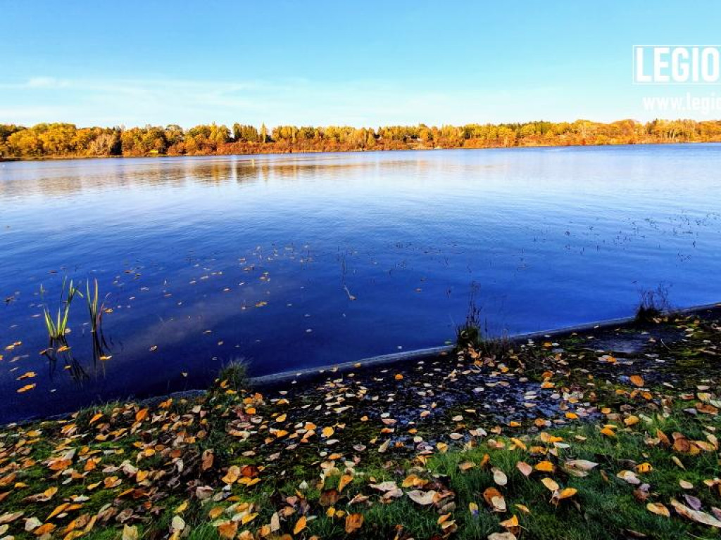 Legionowski: Korzystaj z pięknej pogody! Kolorowa jesień w gminie Wieliszew (galeria)