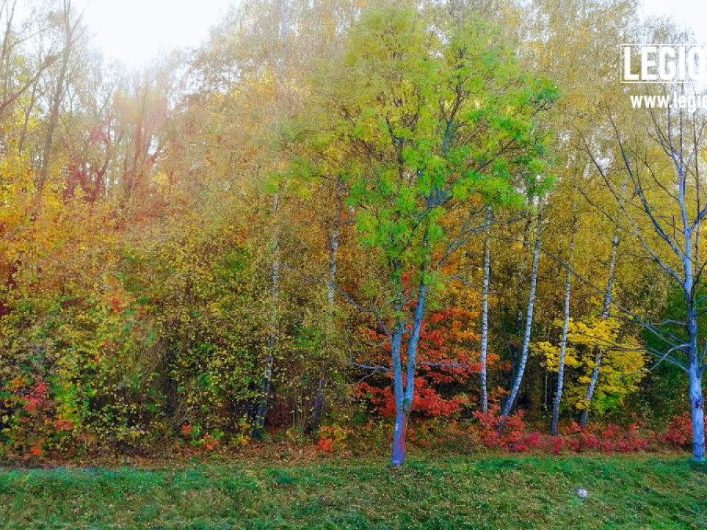 Legionowski: Korzystaj z pięknej pogody! Kolorowa jesień w gminie Wieliszew (galeria)
