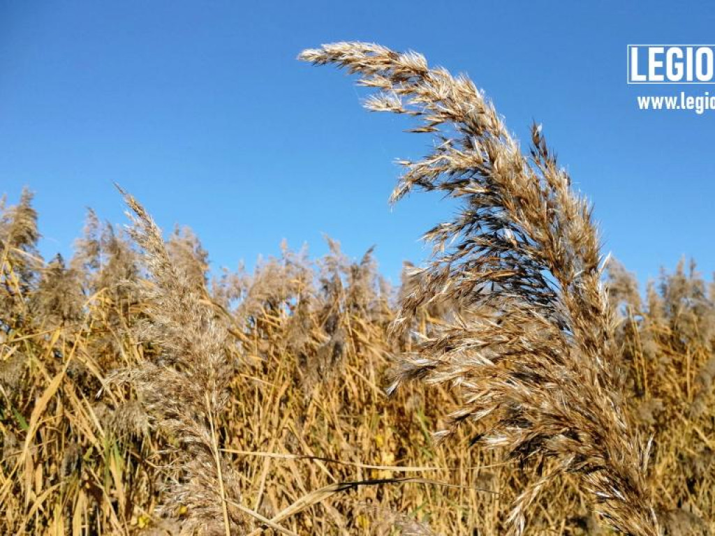 Legionowski: Korzystaj z pięknej pogody! Kolorowa jesień w gminie Wieliszew (galeria)