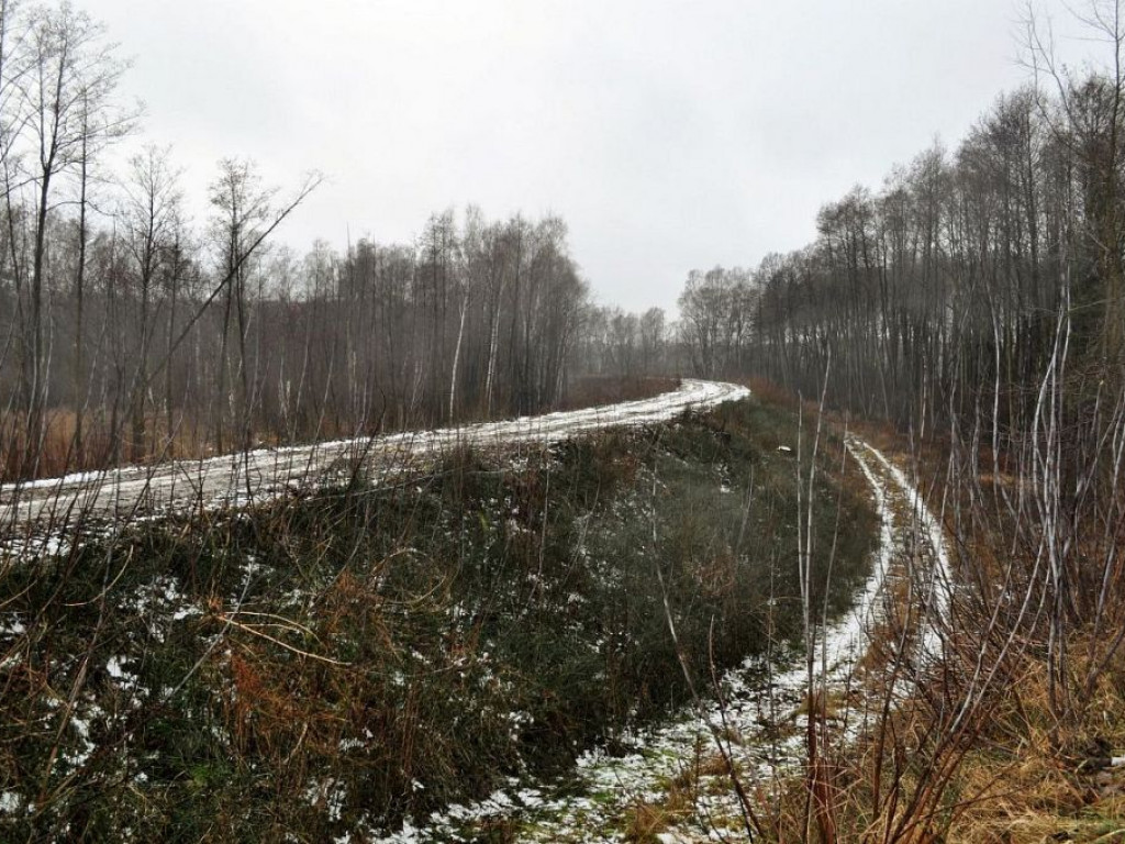 Odbudowują linię kolejową z Wieliszewa do Zegrza