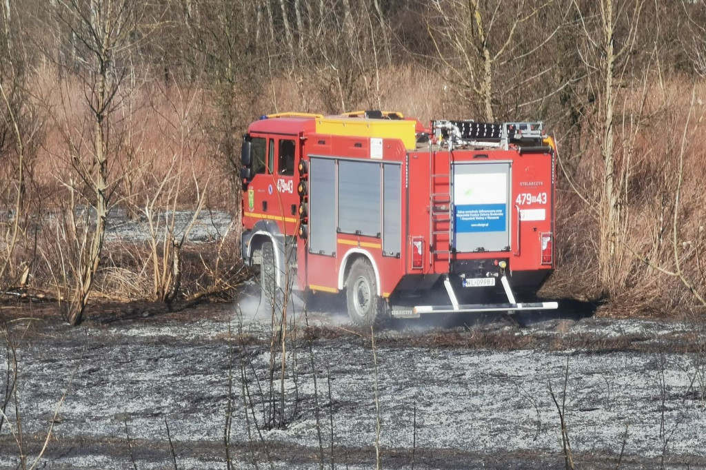 Przy wale nad Wisłą w Jabłonnie płonęły trawy