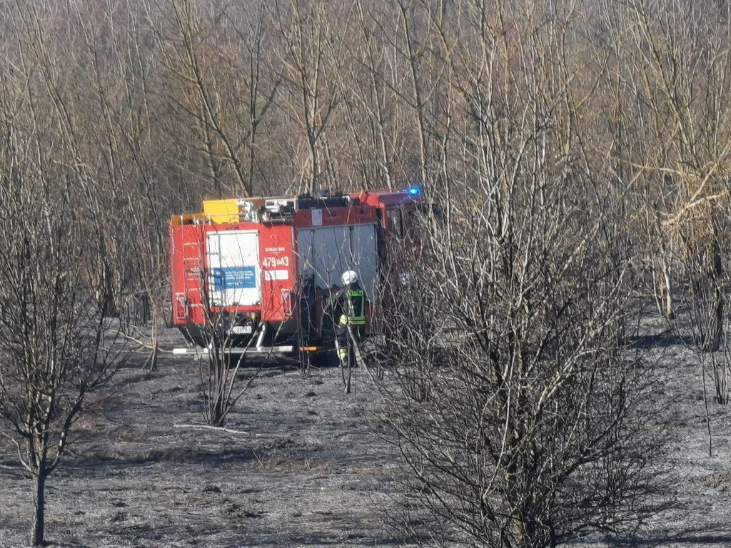 Przy wale nad Wisłą w Jabłonnie płonęły trawy