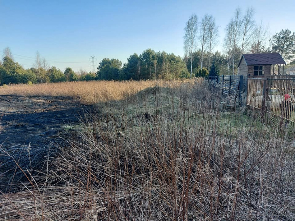 Pożar trawy w Aleksandrowie zagrażał budynkom