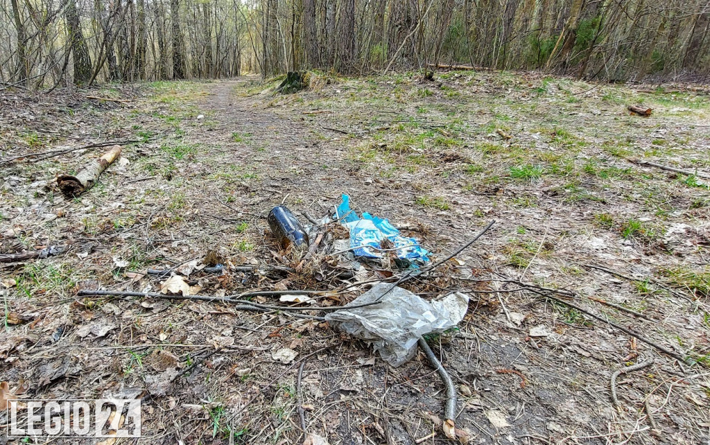 Las przy Al. Róż w Legionowie pełen śmieci