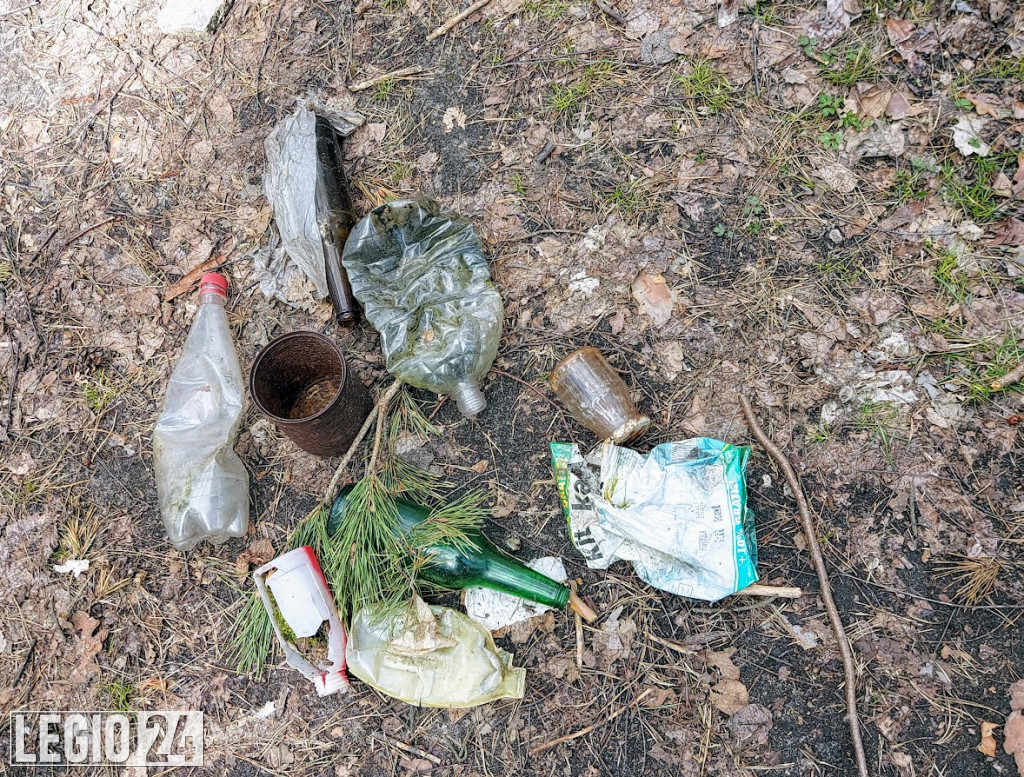 Las przy Al. Róż w Legionowie pełen śmieci
