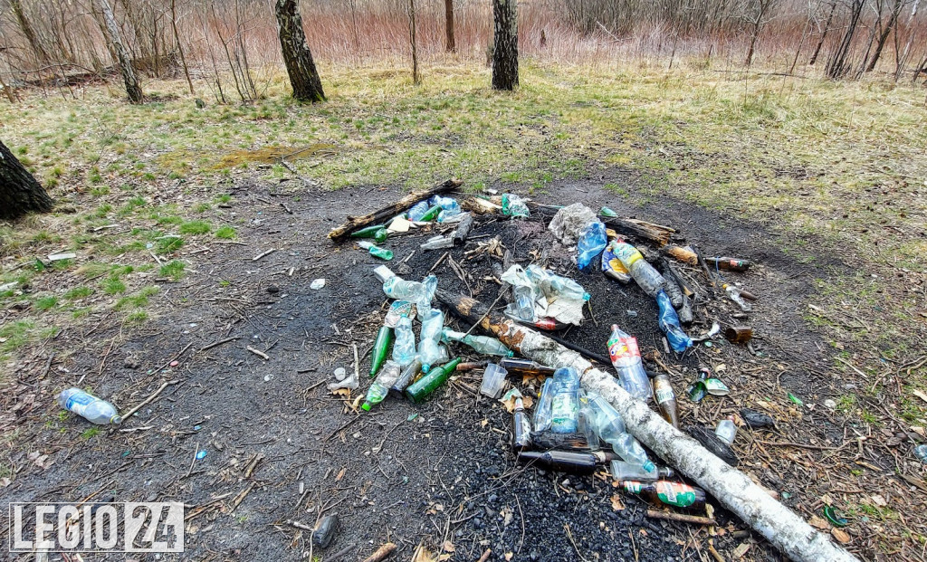 Las przy Al. Róż w Legionowie pełen śmieci