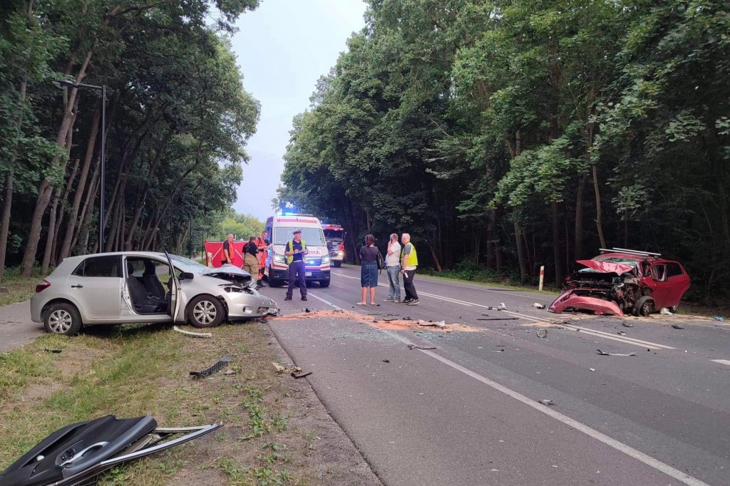Śmiertelny wypadek na DW630 w Jabłonnie