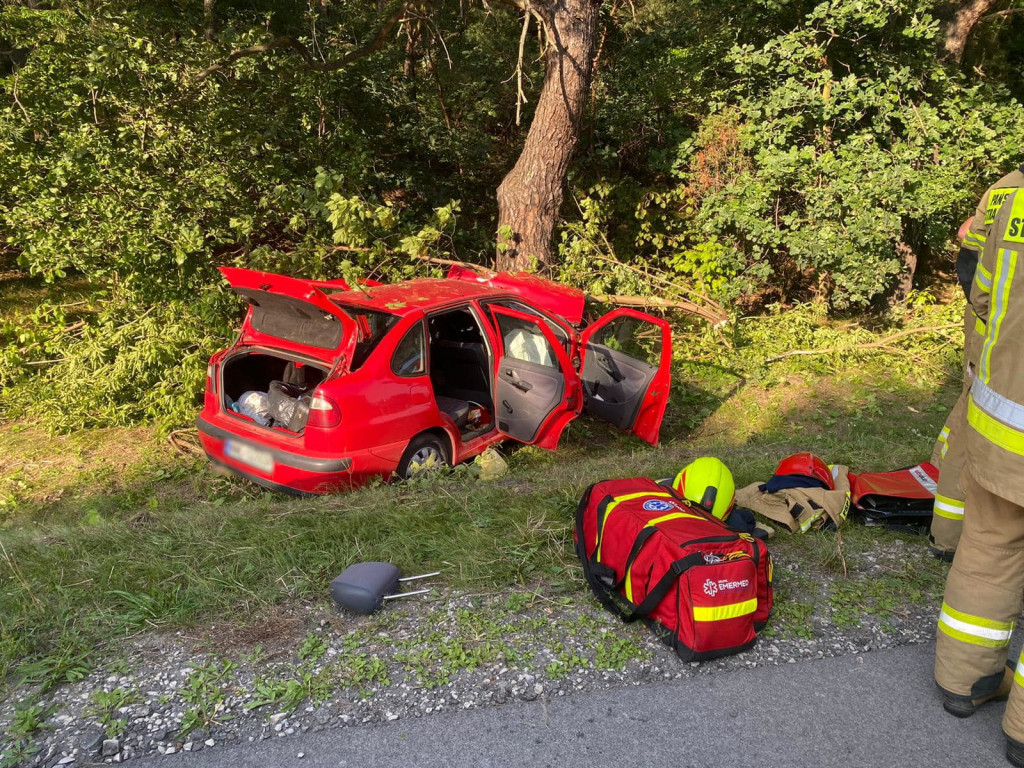 Śmiertelny wypadek na DW631 w Wólce Radzymińskiej