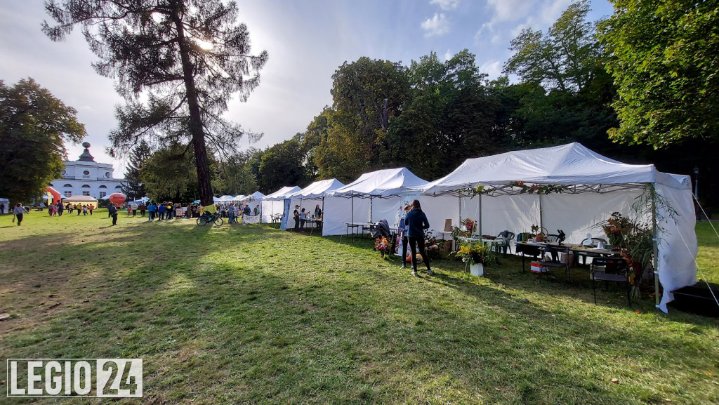 Festiwal 