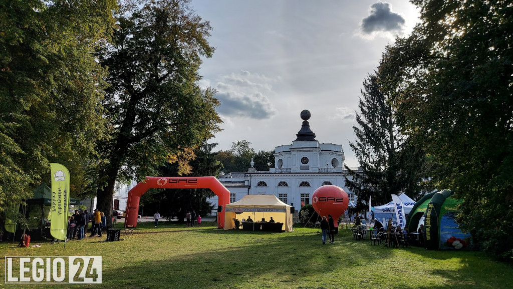 Festiwal 