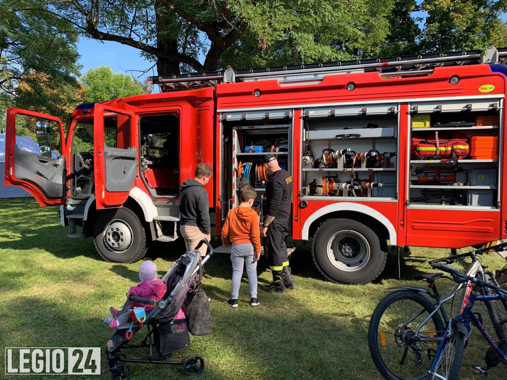 Festiwal 