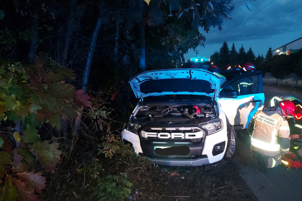 Na Suwalnej w Łajskach ford wjechał w drzewo