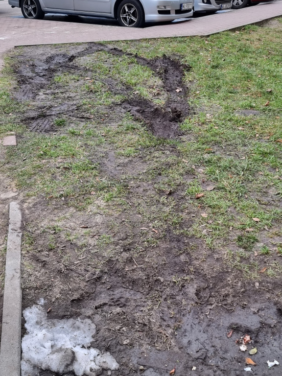 Parkowanie na trawniku normą w Legionowie?