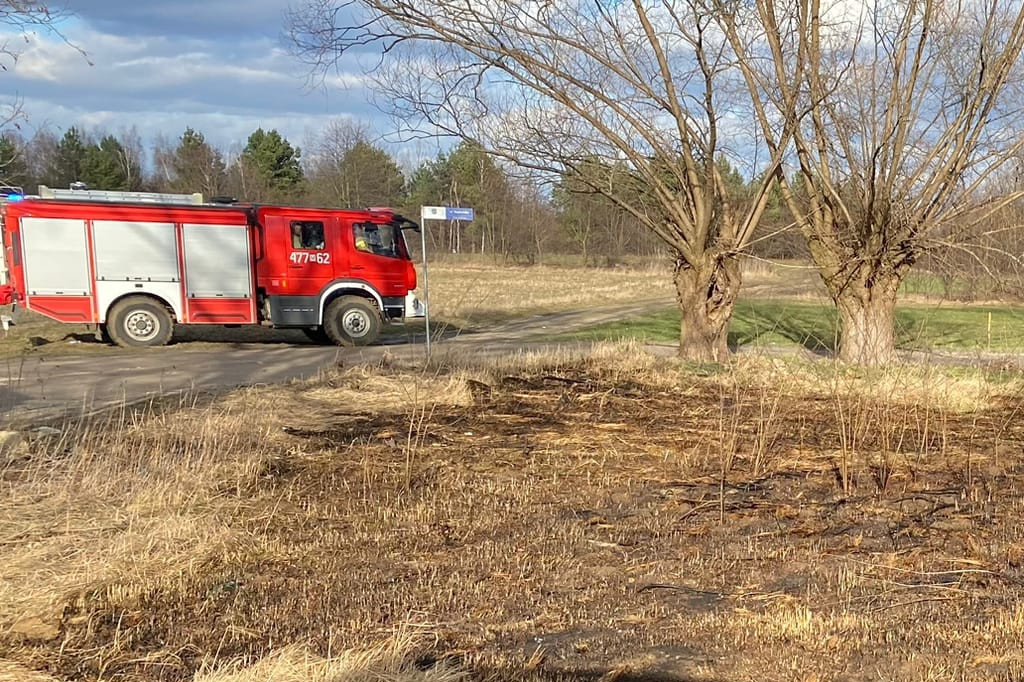 Wiosna coraz bliżej, znów płoną trawy