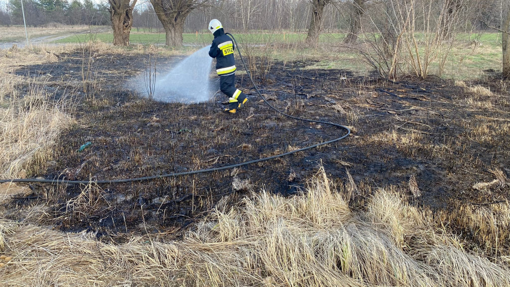 Wiosna coraz bliżej, znów płoną trawy