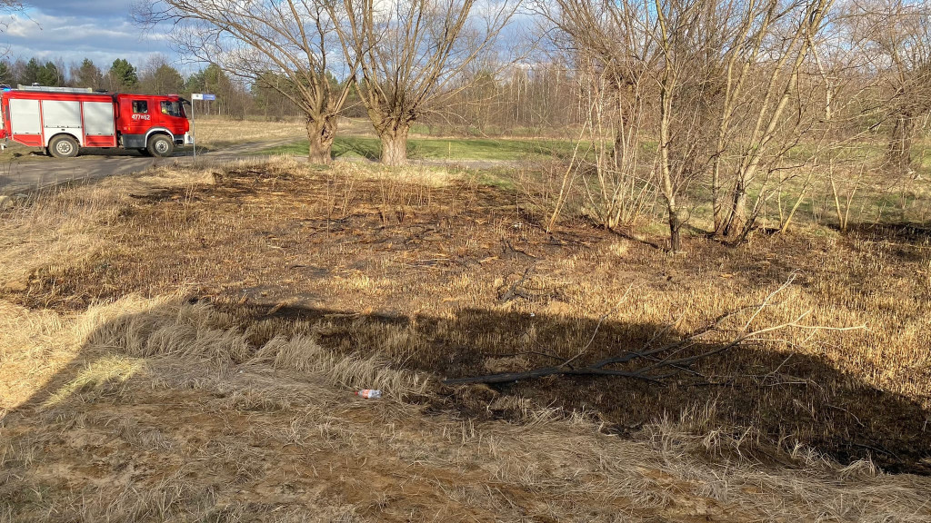 Wiosna coraz bliżej, znów płoną trawy
