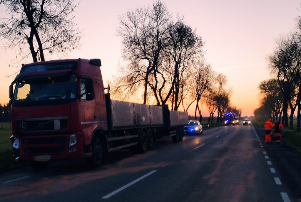 Marynino: Trzy auta zderzyły się z łosiem na DK62