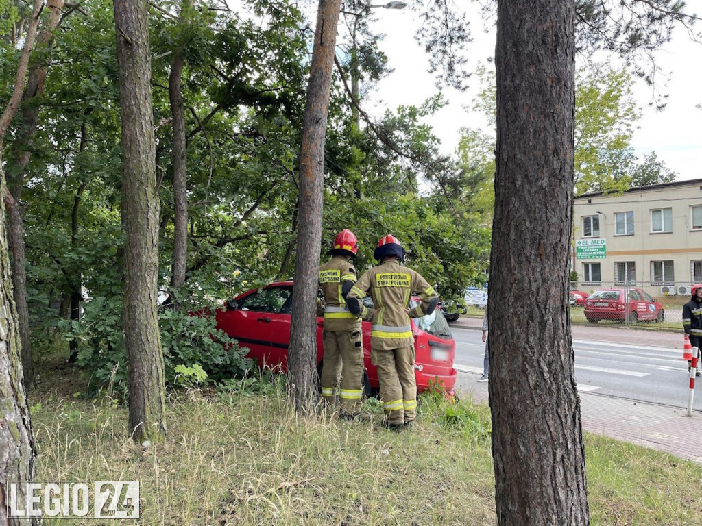 Na ul. Krasińskiego ford uderzył w drzewo