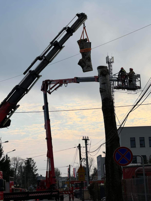 Straż wycięła topolę, która mogła się przewrócić