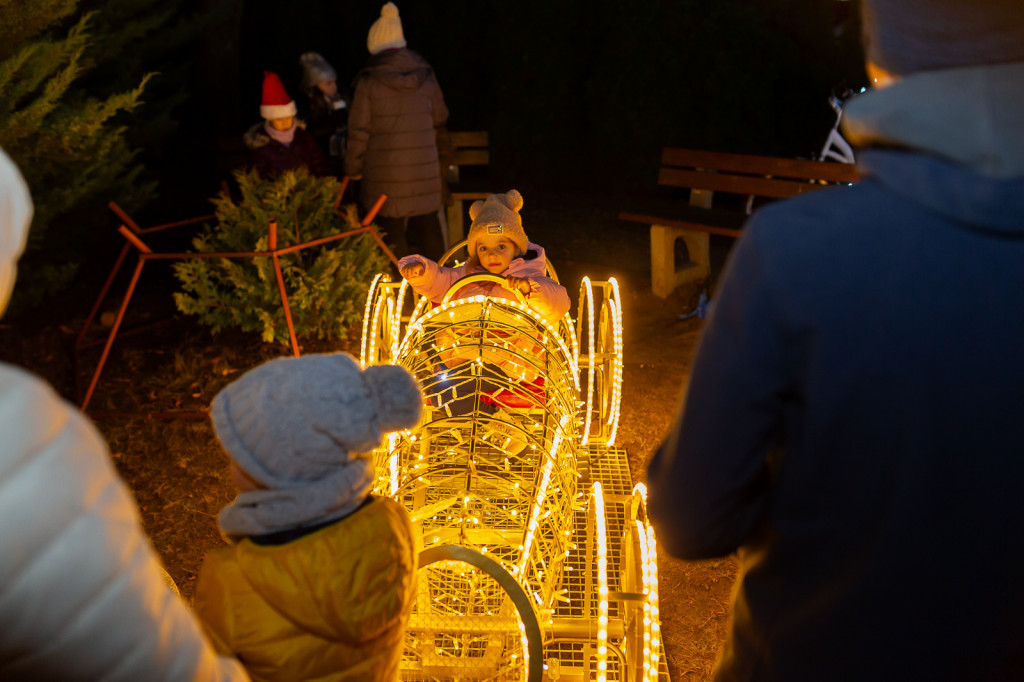 Świąteczna iluminacja w Wieliszewie (2024)