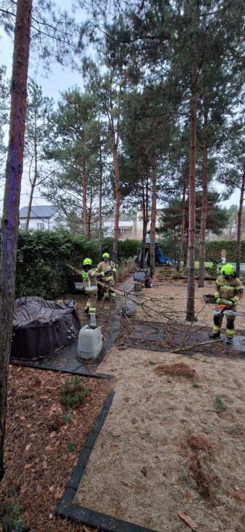 Legionowski: Silny wiatr przewracał drzewa