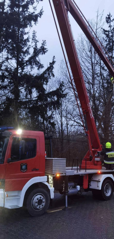 Legionowski: Silny wiatr przewracał drzewa