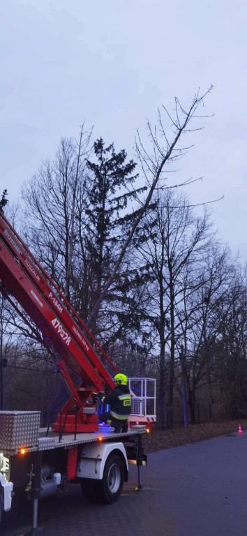 Legionowski: Silny wiatr przewracał drzewa