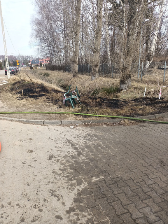 Pożar forda w Ryni. Auto spłonęło doszczętnie