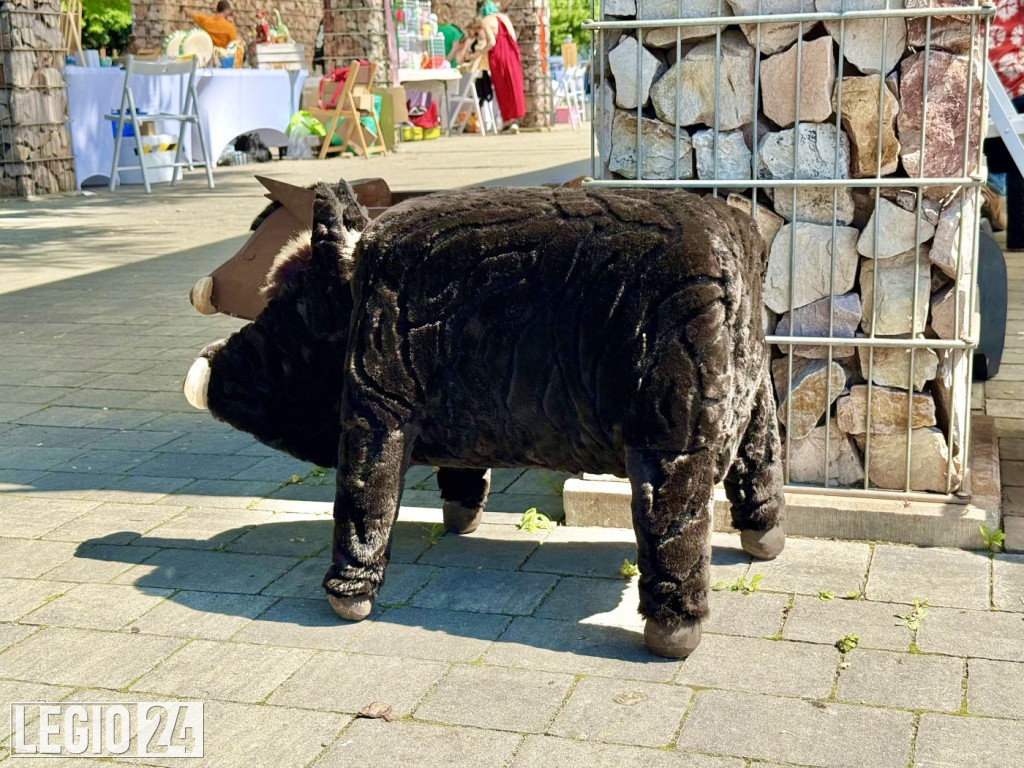 Na skrzyżowaniu kulturowych szlaków 2025