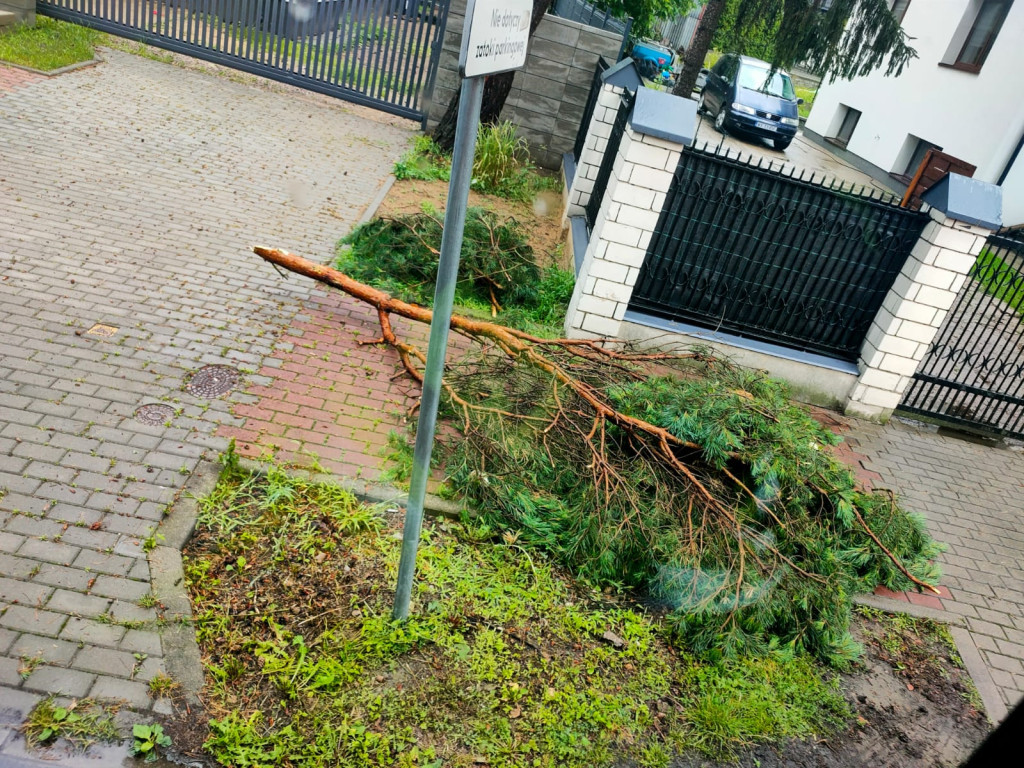 Trzynaście interwencji związanych z burzą