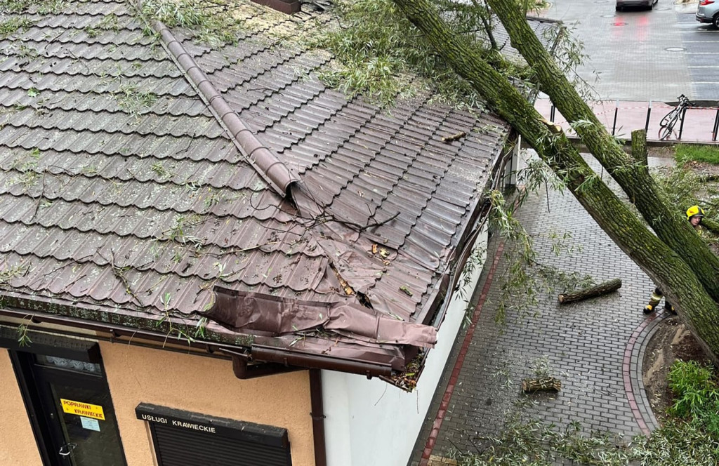 Trzynaście interwencji związanych z burzą