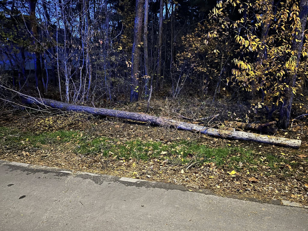 Wichura w powiecie legionowskim