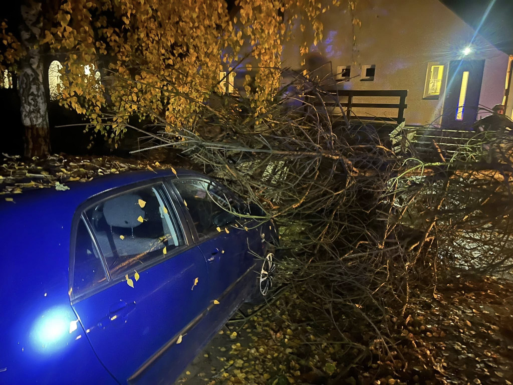 Wichura w powiecie legionowskim