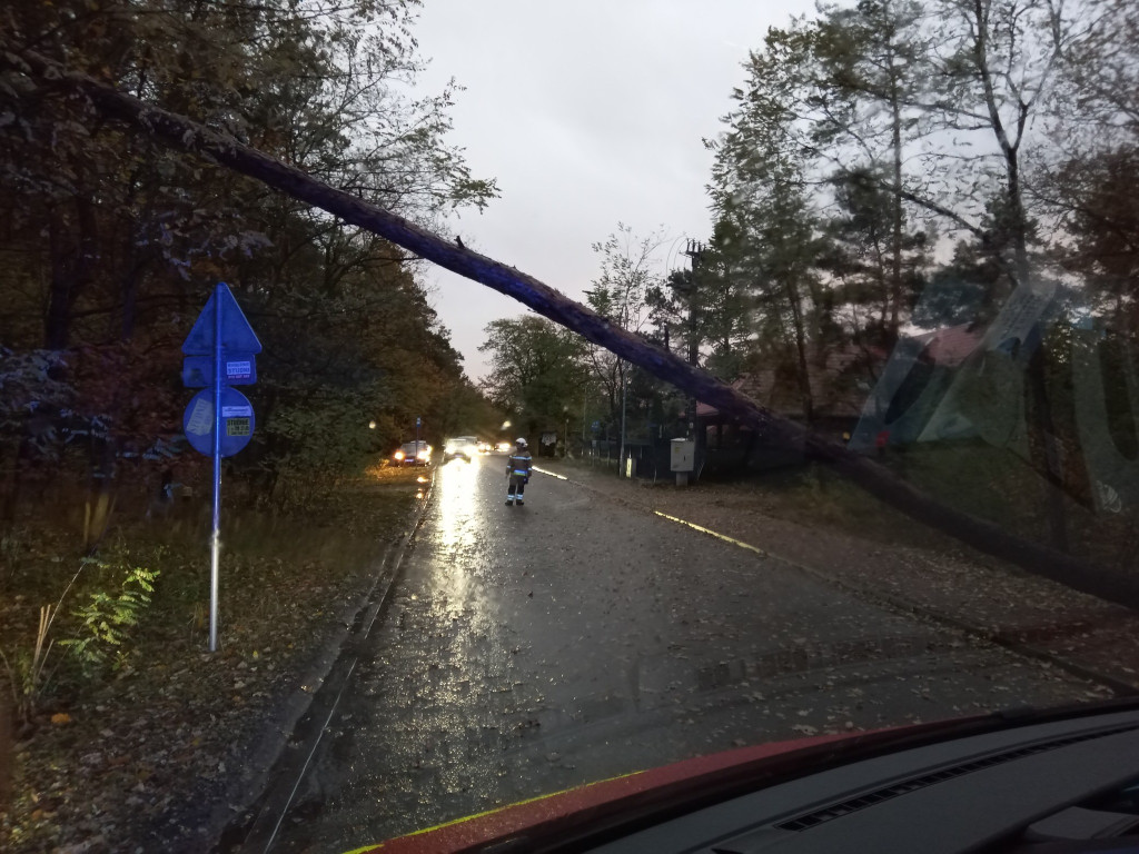 Wichura w powiecie legionowskim