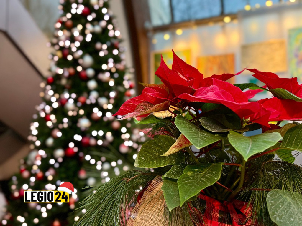 Miejska Wigilia w Legionowie (2025)