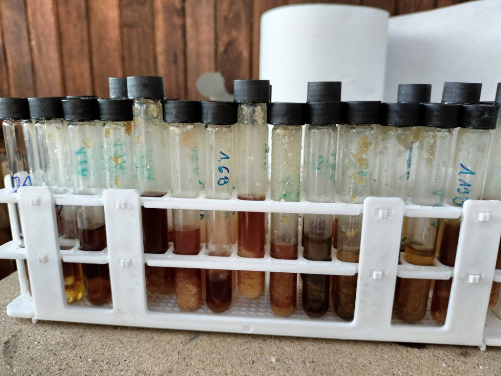 70 kg mefedronu w Nieporęcie. Zatrzymany 39-latek