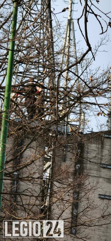 Niebezpieczna wspinaczka na stadionie w Legionowie