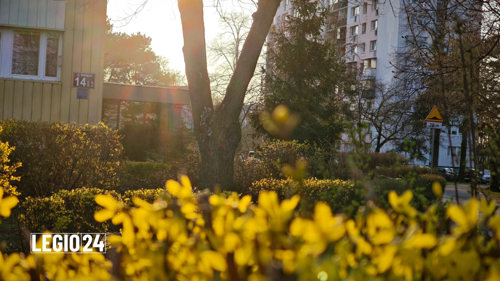 Wiosna w Legionowie