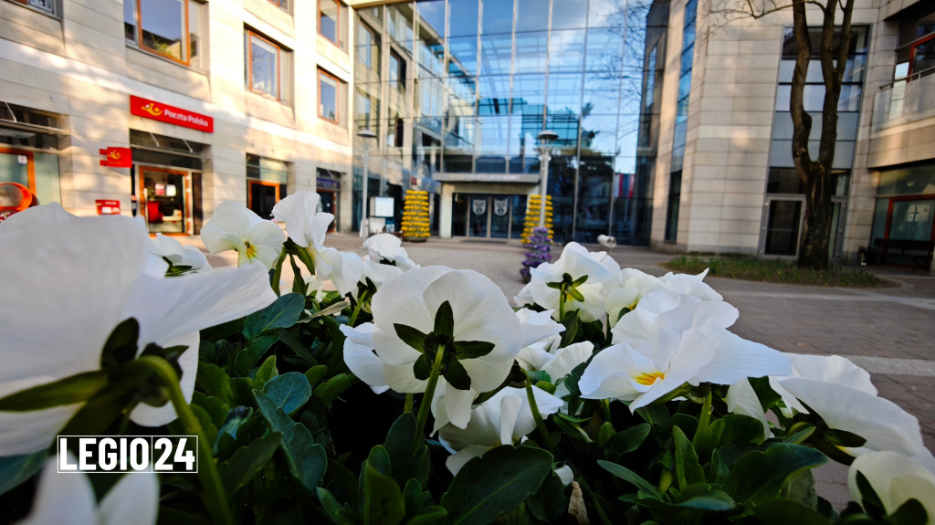 Wiosna w Legionowie