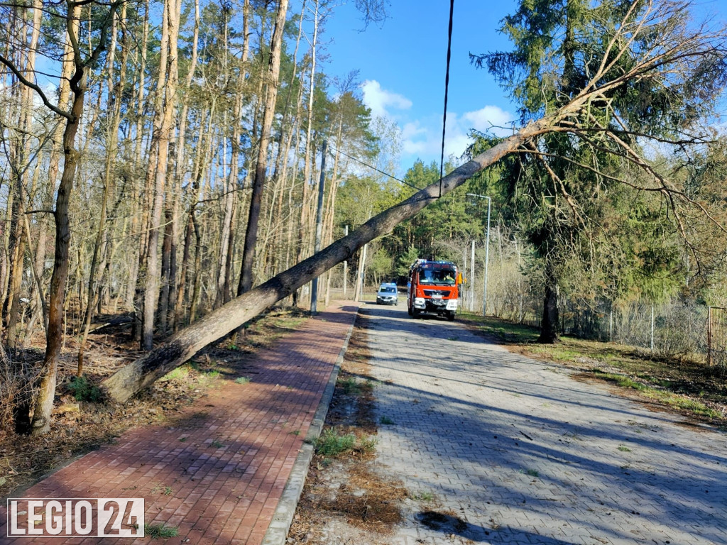 Wichura w powiecie. Dziesiątki interwencji strażaków