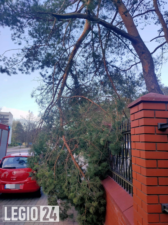 Wichura w powiecie. Dziesiątki interwencji strażaków