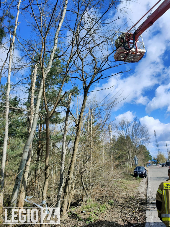 Wichura w powiecie. Dziesiątki interwencji strażaków