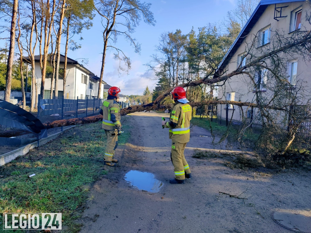 Wichura w powiecie. Dziesiątki interwencji strażaków