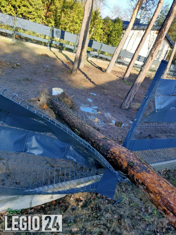 Wichura w powiecie. Dziesiątki interwencji strażaków