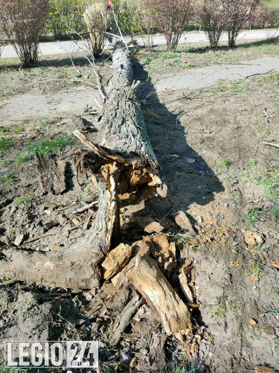 Wichura w powiecie. Dziesiątki interwencji strażaków